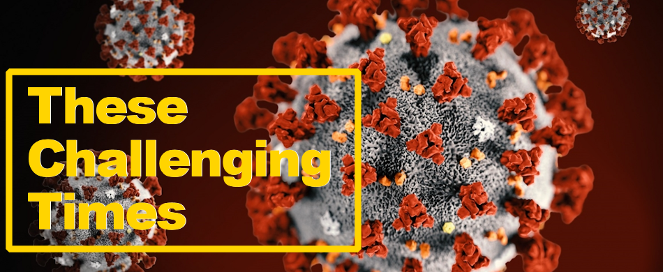 With the world facing a global pandemic related to Covid 19, many industries have been staggered by the actions taken to stop the rapid spread. Many of the businesses most directly impacted are related to the transportation and lodging of travelers.